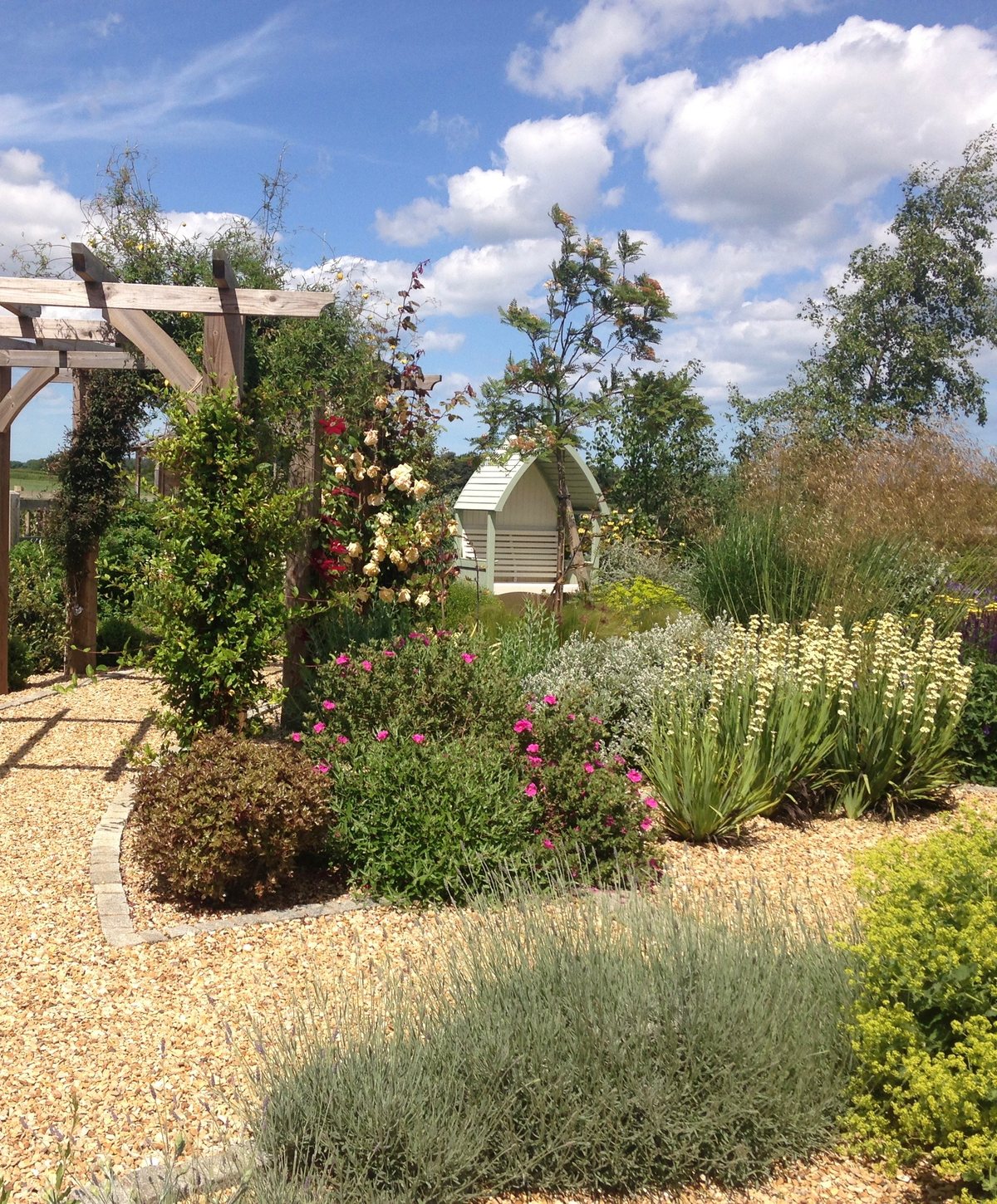 A shady walled courtyard with pleached hornbeam and clipped box