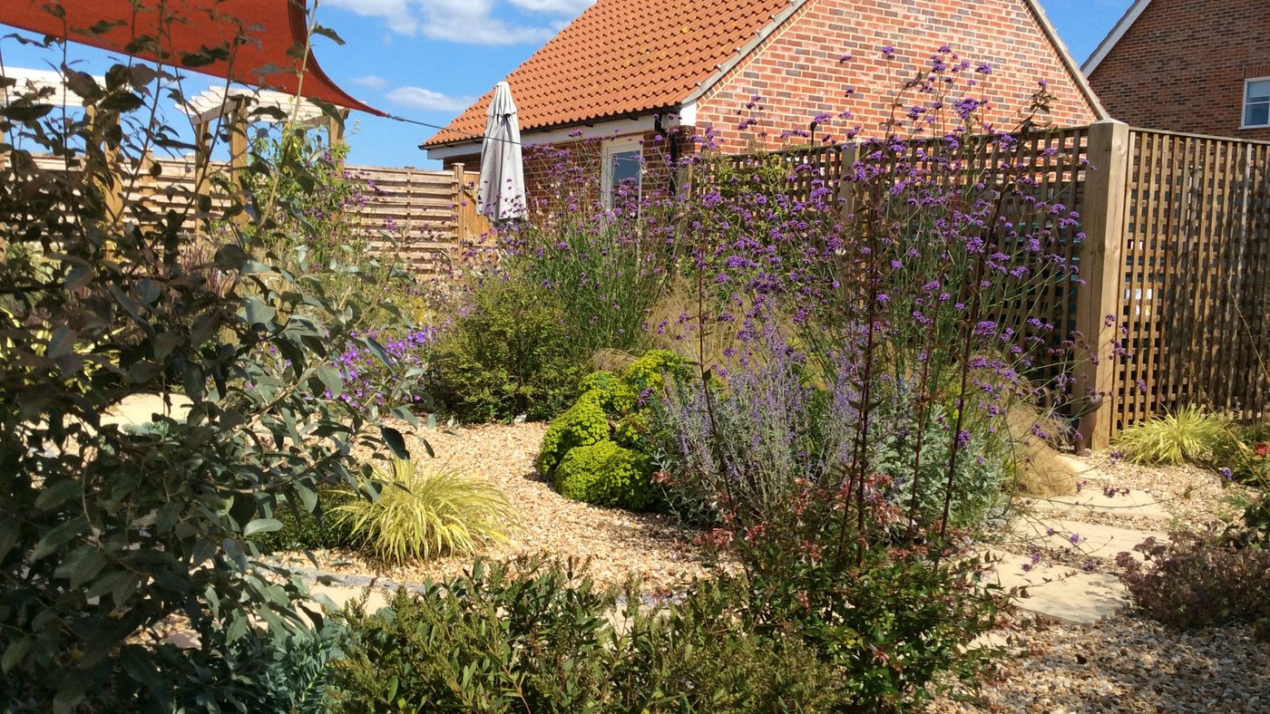 Plants that love gravel planting schemes