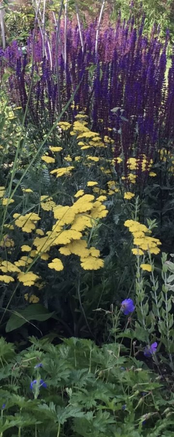July, Bold & beautiful