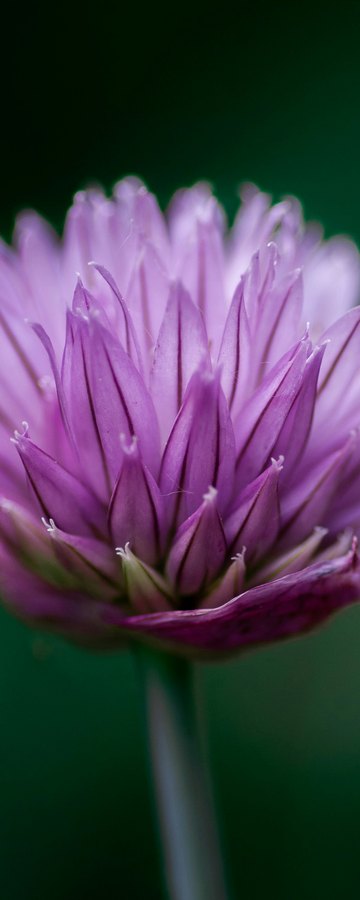 May, Abundant & vibrant
