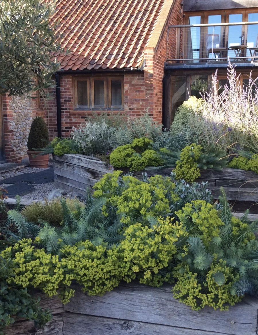 Mediterranean Terrace in Olive, euphorbia and oak sleepers